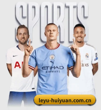 五大服务分区,信息按项目分类 - leyu