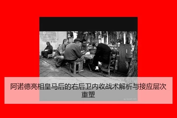 a-nuo-de-liang-xiang-huang-ma-hou-de-you-hou-wei-nei-shou-zhan-shu-jie-xi-yu-jie-ying-ceng-ci-zhong-su-2-311.jpg