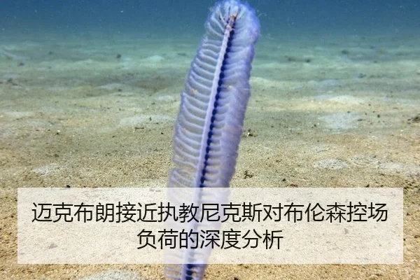 迈克布朗接近执教尼克斯对布伦森控场负荷的深度分析