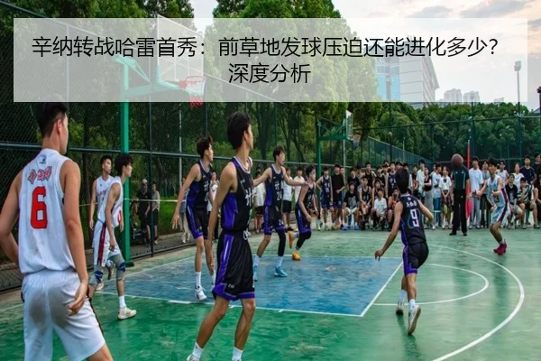 辛纳转战哈雷首秀：前草地发球压迫还能进化多少？深度分析